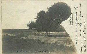 Lincoln Nebraska Lone Tree Message State Fair 1909 RPPC Photo Postcard 21-14293