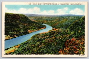 Grand Canyon Of Tennessee From Signal Mountain~Teich 1936 Linen Postcard