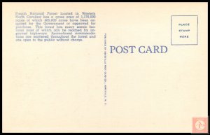 Looking Glass Mountain in Pisgah National Forest, W.N.C.