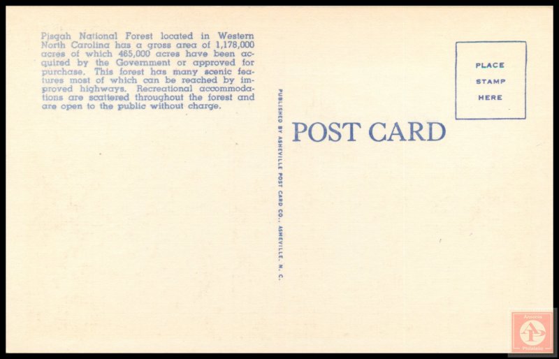 Looking Glass Mountain in Pisgah National Forest, W.N.C.