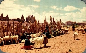 Navajo Sheep Herd Native American Chrome Postcard 08.56