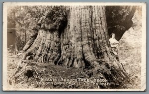 Postcard RPPC c1920 Portland Oregon Gigantic Spruce Tree Two Men Weister Photo