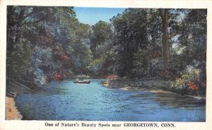 Georgetown Connecticut River Canoeing Scenic View Vintage Postcard AA21175