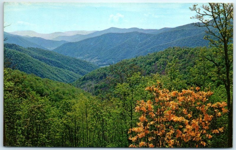 Looking Down into Maggie Valley - North Carolina from the Blue Ridge Parkway