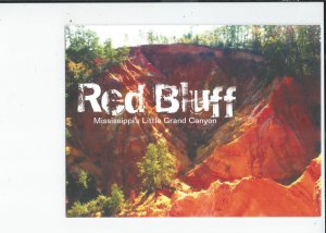 2 Red Bluff State Park, Foxworth, Mississippi Gallery Quility Postcard