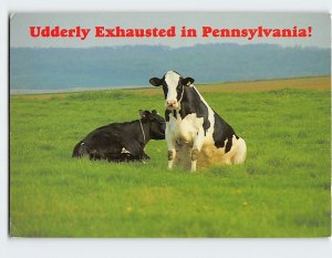 Postcard Udderly Exhausted in Pennsylvania! Pennsylvania USA