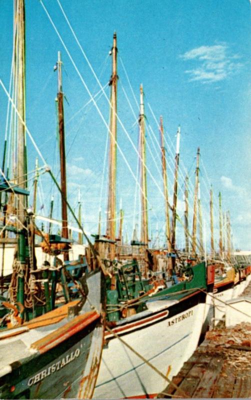 Florida Tarpon Springs Sponge Boats Docked At Sponge Exchange 1959