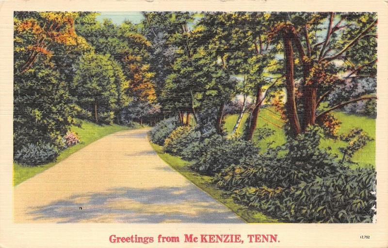 Mc Kenzie Tennessee~Road Passing Through Trees & Field~1941 Linen Postcard