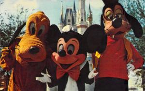 Walt Disney World, 79905-C, Welcome to Magic Kingdom, Vintage Postcard