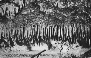 The Fish Market Luray, Virginia USA The Fish Market Luray, Virginia USA