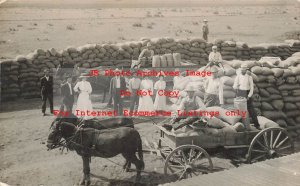 NM, Elida, New Mexico, RPPC,Farmers Delivering Sacks of Wheat,Guy Breeding Photo