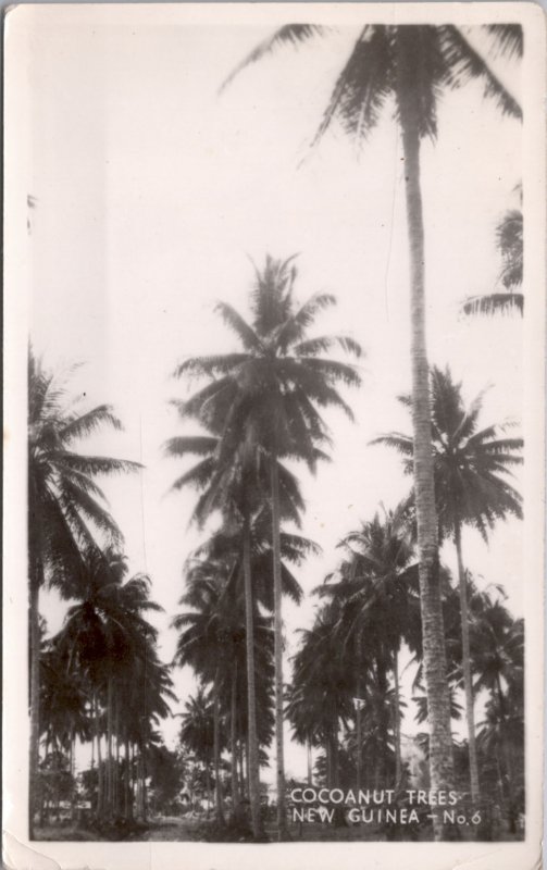 RPPC-Paupa, New Guinea Cocoanut Trees WWII No. 6 Grogan Photo