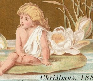 1880 Christmas Fantasy F.R. Hadley Druggist Chemist European Novelties #1 F149