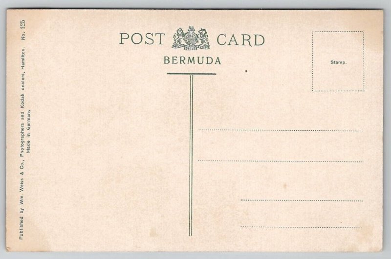 Bermuda Smallest Home Postcard B46