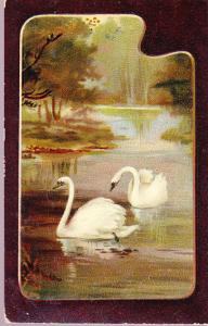 Swans Painting 1913