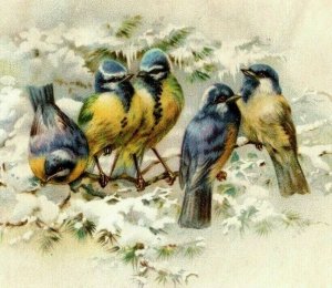 1896 Fleischmann & Co.'s Yeast Banner Picture Beautiful Wild Birds Snow 2 #S