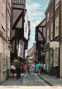 England York The Shambles Street Scene