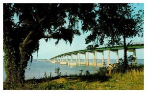 Postcard BRIDGE SCENE Between Santee & Summerton South Carolina SC AQ5476