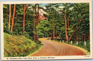 postcard  Horseshoe Bend, Lake Shore Drive in Northern Michigan