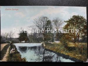 Essex LEXDEN SPRINGS Colchester - showing two boys fishing c1907