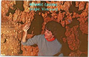 postcard Meramec Caverns - Grape Vineyard  Stanton Missouri