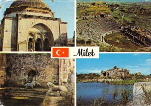 BT2696 milet      Turkey