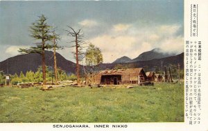 Senjogahara Inner Nikko Japan 1950s Postcard View Trees Buildings