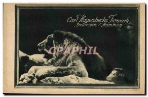 Old Postcard Carl Hangenbecks Tierpark Stellingen Hamburg