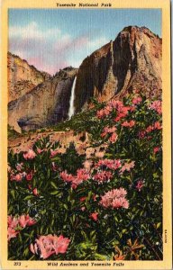 Postcard WATER SCENE Yosemite National Park California CA AN6607