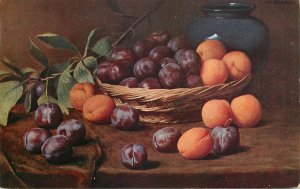 Fine art artist postcard plums and apricots fruits still life 1909