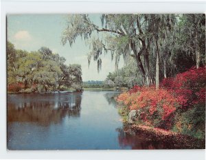 Postcard One Of Many Beautiful Rivers In The South