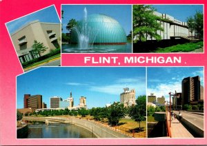 Michigan Flint Multi View