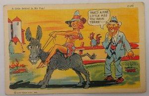 Comic Risqué Pinup Girl Riding Donkey Farm Comics 1940's Linen Postcard A1