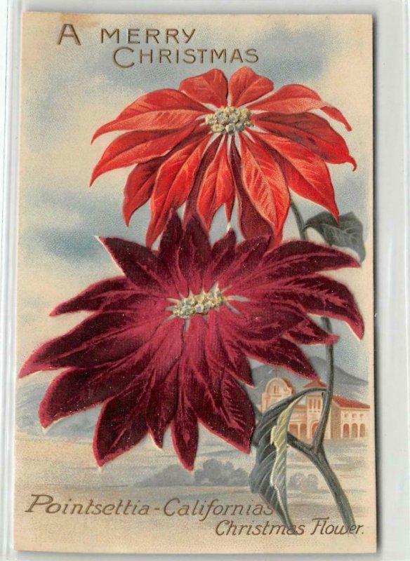 A Merry Christmas Poinsettia California Felt Flowers c1910s Vintage Postcard