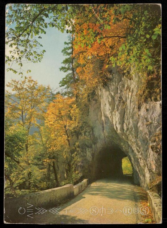 Les Alpes en couleurs naturelles EN CHARTREUSE