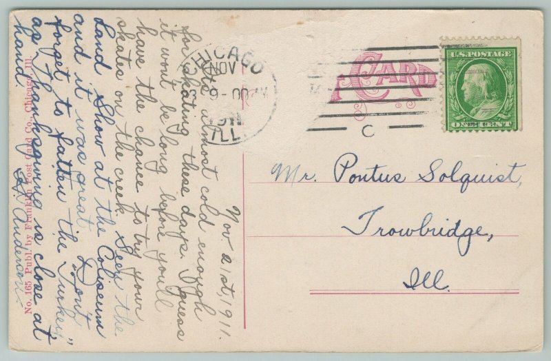 Chicago Illinois~Humboldt Park Lily Pond & Stone Bridge~1910 Postcard