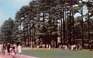 Entering the Grounds in Lenox, Massachusetts at Tanglewood, The Berkshire Mus...