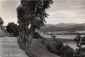 VOSS HORDALAND NORWAY NORGE STRANDPARTI GATEVISNING PHOTO POSTCARD 1940s