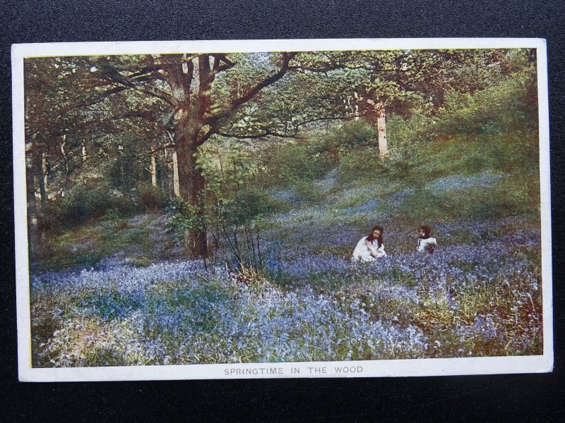BLUEBELLS English Springtime in the Woods c1921 Postcard