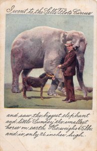J82/ Interesting Postcard c1910 Sells Floto Circus Elephant Small Horse 54