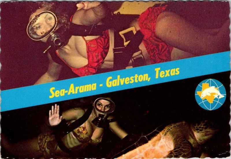 Galveston, TX Texas  SEA-ARAMA MARINEWORLD Mermaids~Bikini Divers  4X6 Postcard