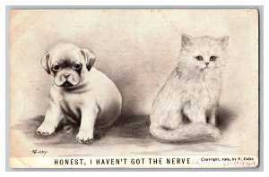 c1909 Postcard Honest I Havn't Got The Nerve Dog Cat Artist Signed V. Colby