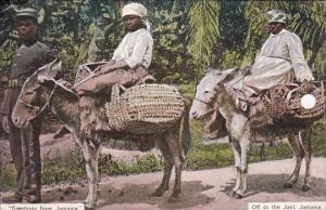 Greetings From Jamaica Off To Jaol Natives Riding Donkeys