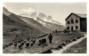 Switzerland Col de Balme L'Alpage RPPC 06.94