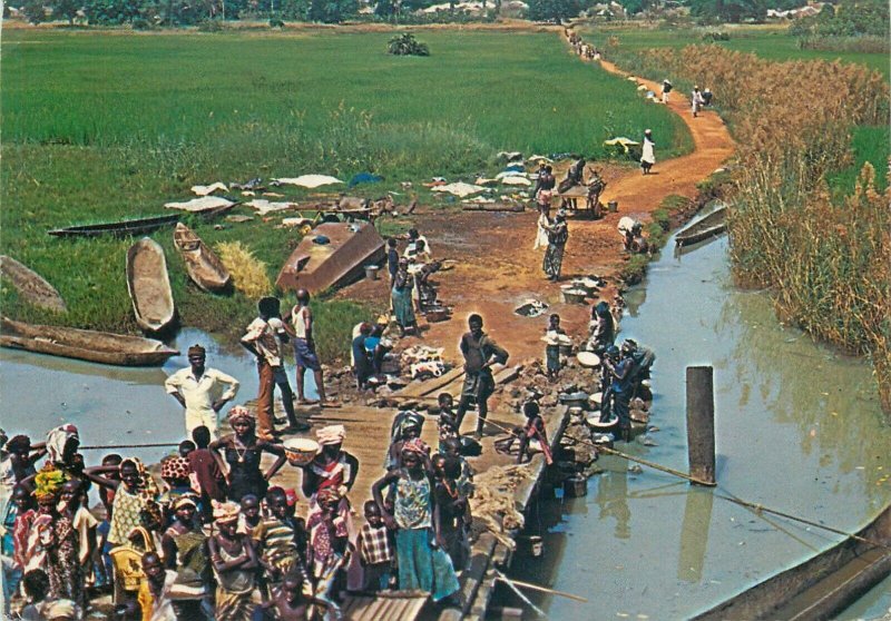 Gambia river scene postcard