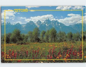 Postcard The Majestic Grand Teton, Grand Teton National Park, Wyoming