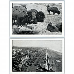 x2 SET c1920s San Francisco, CA Mini Cards Beach Buffalo Photo Print Cars A196