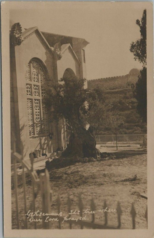 Israel Postcard- Jerusalem - Gethsemane, The Tree Where Our Lord Prayed RS26015