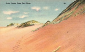 Vintage Postcard Sand Dunes Beach Cape Cod Massachusetts MA Mayflower Sales Co.