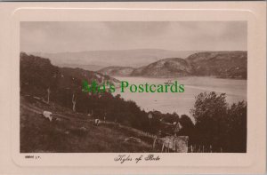 Scotland Postcard - Kyles of Bute, Argyll and Bute RS33238